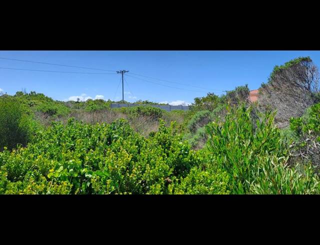 LAND FOR SALE IN JONGENSFONTEIN